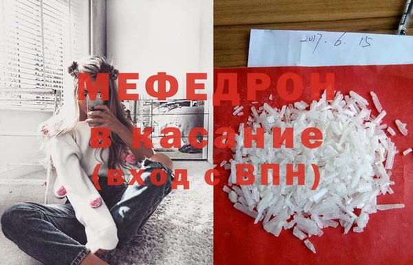 шишки Абаза