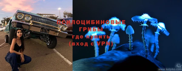тгк Алзамай