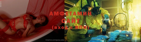 шишки Абаза